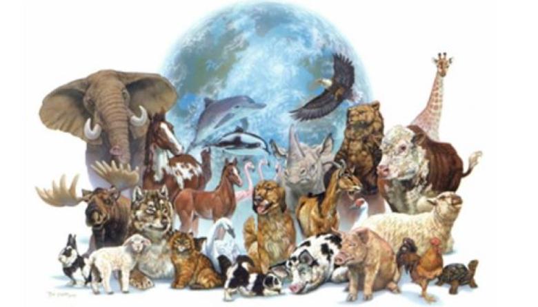 Se celebra el Día del Animal en Argentina