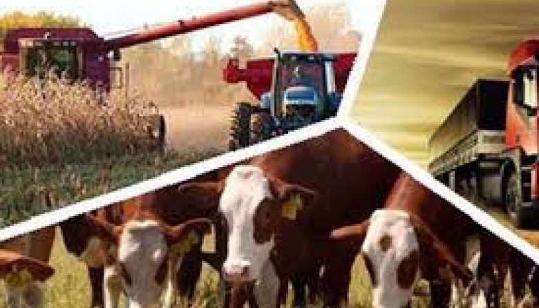 ¿Qué significará el RIMI para el agro?