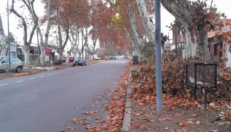Las hojas y el viento, y el frío municipal, sucundúm, sucundúm