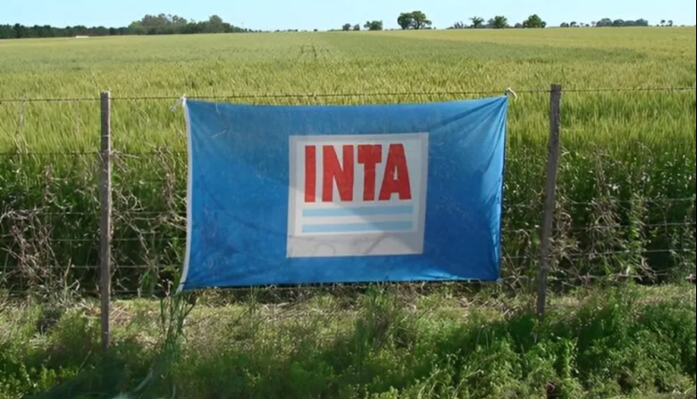 INTA: una cautelar frenó el cierre de una estación experimental bonaerense