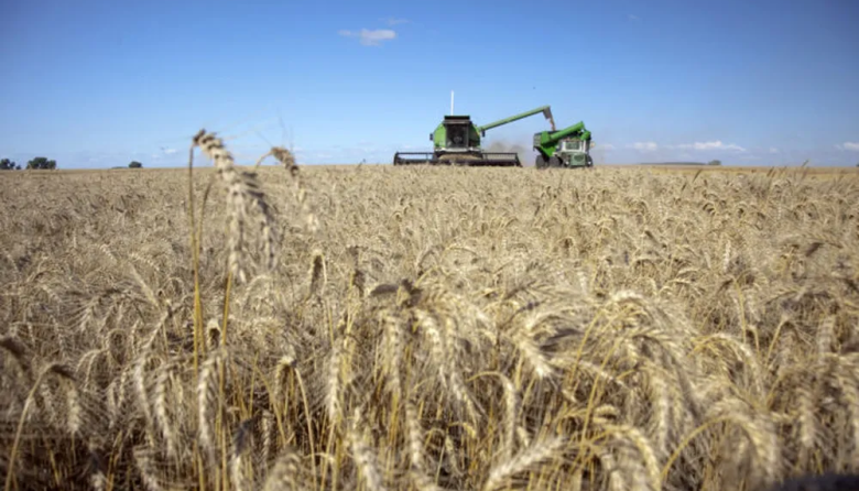 Oficializan la reducción de las retenciones para el agro y los biocombustibles