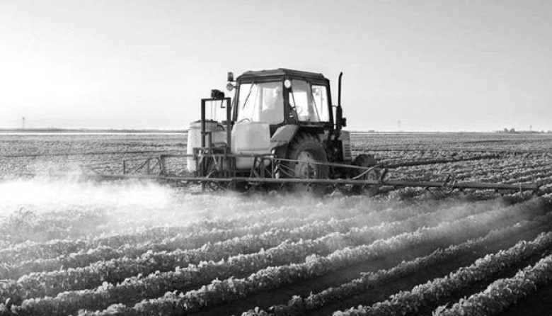 Desde la Cuarta Sección reclaman una ley específica para las fumigaciones en los campos