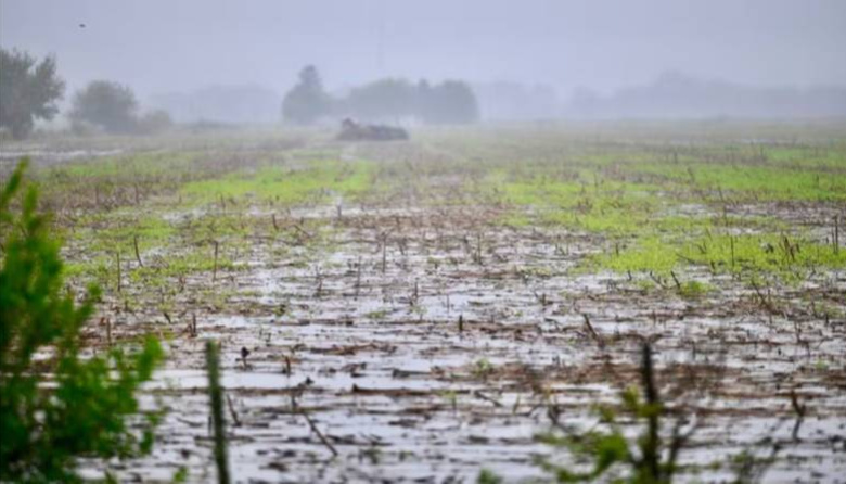 Alertan por  el impacto del fenómeno 'El Niño' en el noroeste bonaerense