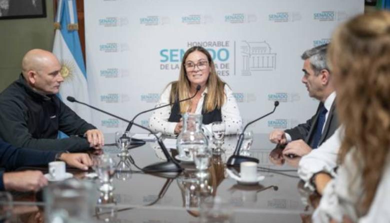 Arata asumió la presidencia de la Comisión de Presupuesto e Impuestos del Senado