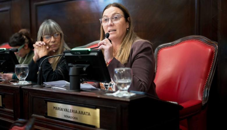 Arata defendió la 'Zona Fría' y advirtió sobre el impacto del tarifazo en las familias