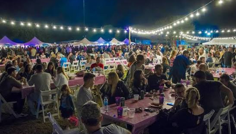Senadores aprobó la iniciativa para declarar de interés provincial el 'Festival Pampa' de Junín