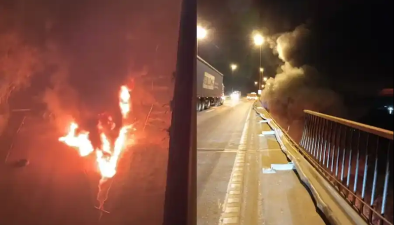 Un camión cayó al vacío desde uno de los puentes del Complejo Zárate - Brazo Largo