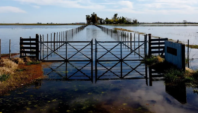 El Niño podría ser el más intenso de la historia: caerá hasta 90% más de lluvia que lo esperado