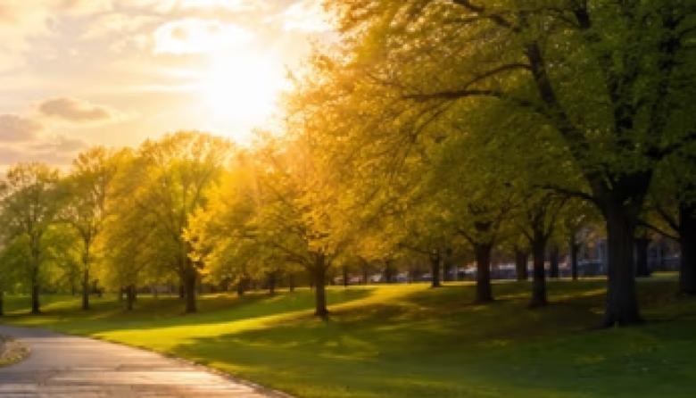 La semana arranca con frío en Junín y la región: cuándo suben las temperaturas