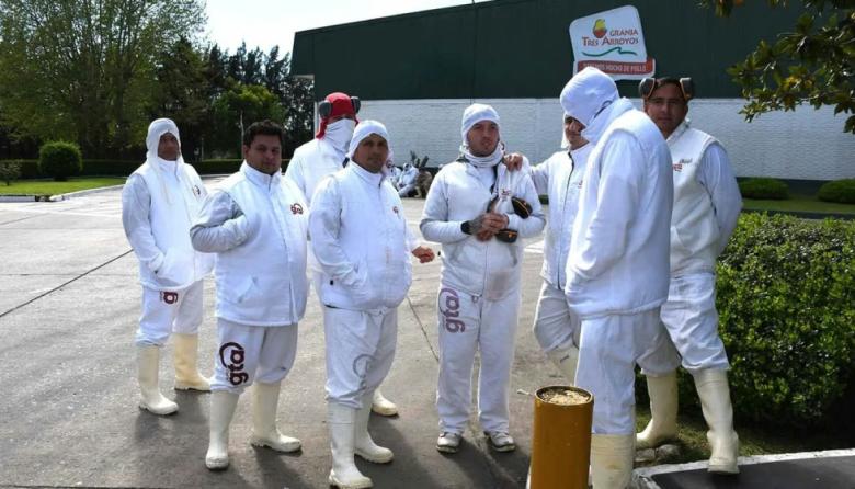Granja Tres Arroyos: Sin conciliación, quedaron firmes los 1.250 despidos