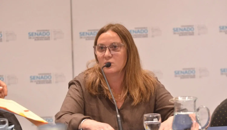 Senado bonaerense: dictamen unánime para declarar de interés la lactancia materna