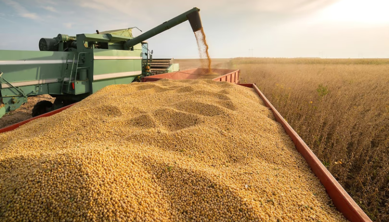 El sector agroexportador aportó US$ 3.228 millones al mercado financiero en septiembre