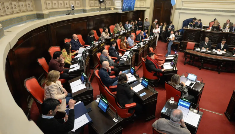El Senado bonaerense aprobó la "Ley Ema" con cambios y vuelve a Diputados