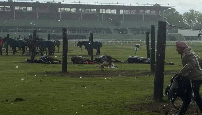 Cayó un rayo en el Jockey Club de San Isidro y mató a cuatro caballos de polo