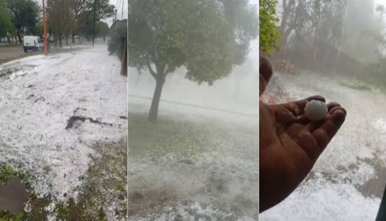 Violento temporal de lluvia y granizo: destrozos, viviendas inundadas y animales muertos