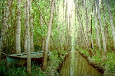 El gobierno bonaerense aprobó la reglamentación de la ley de Bosques Nativos