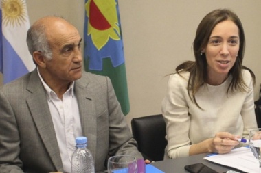 Delante de Salvador y de senadores, Vidal  puso en duda la postulación de su vice