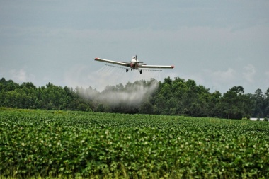 Vecinos de Pergamino denuncian  que el municipio intentó esconder  que tomaban agua con glifosato