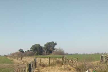 La gestión Petrecca y su desidia con los venenos agrícolas
