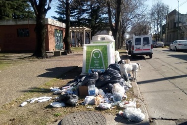 Campaña limpia: Viky Muffarotto le reclama a Petrecca