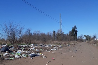 Un verdadero basural en la zona urbana