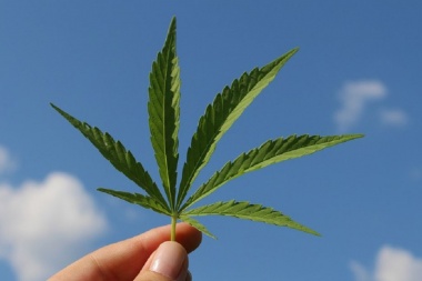 Cannabis para la salud
