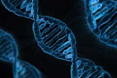 La UNNOBA dictará un Doctorado en Mejoramiento Genético