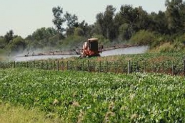 Pergamino: Condenaron a productores agrarios por contaminación