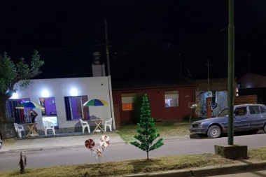Se robaron árboles plantados sobre avenida República