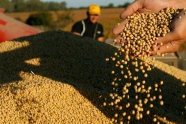 Cierran registro de exportaciones de granos y es inminente una suba de retenciones