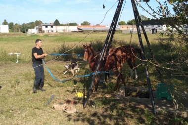 Los bomberos rescataron a un potrillo que se cayó en un pozo