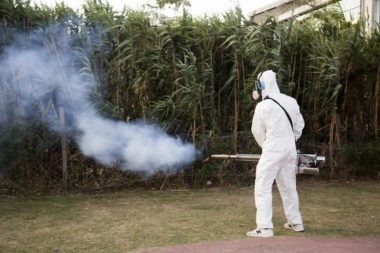 Los casos de dengue suman 947 en la provincia y hay brote en 29 municipios