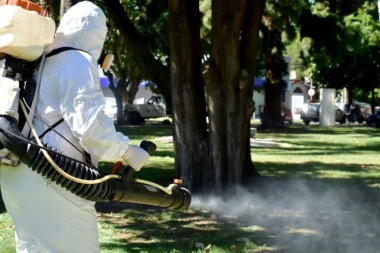 Dengue: los casos  superaron la barrera de  los 1.000 en provincia,  pero baja el contagio
