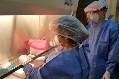 Ayer se confirmaron 258 casos en el país y murieron cinco personas