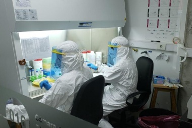 Récord de casos de Covid-19 en el país: 904 confirmados y 13 muertes