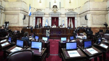 El Senado convirtió en ley el impuesto a la riqueza