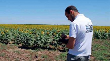 ARBA detectó maniobras millonarias de evasión en el sector rural de Junín y la región