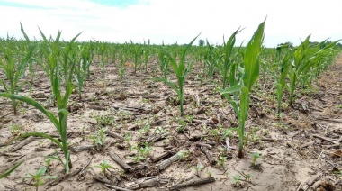 A cuidar las lagunas que habrá más sequía