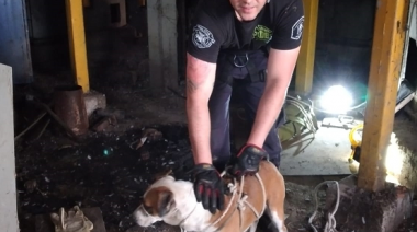 Los bomberos rescataron un perro del interior de un silo