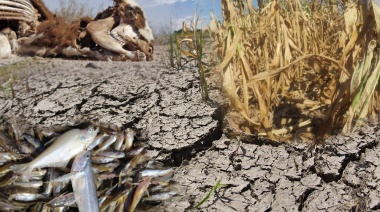 Mortandad de peces en la laguna: otra imprevisión petrequista