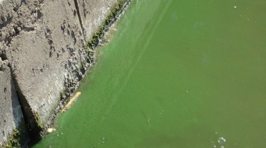 El peligro que entrañan las “aguas verdes” de la laguna