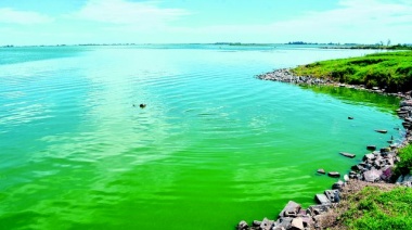 Las entidades se reunirán mañana por las cianobacterias en la Laguna