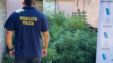 Secuestro de drogas en operativos en Ameghino, Alem y Chacabuco