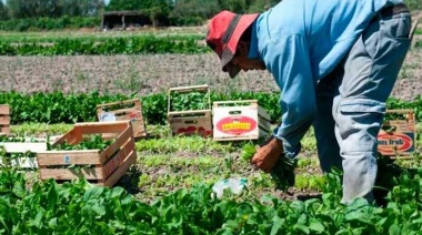 Agricultura familiar y resiliencia