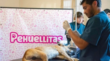 Pehuellitas comenzó con el rescate de perros en la vía pública