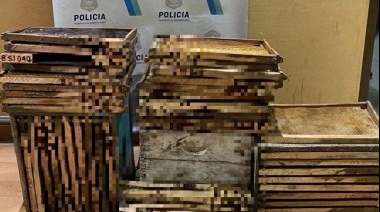 Fue aprehendido un ladrón de colmenas