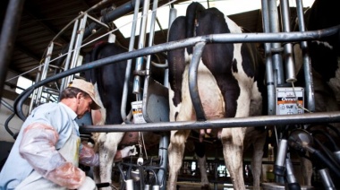 Advierten que la producción de leche es la más baja de los últimos cinco años