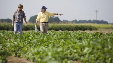 Un informe reveló que los arrendamientos agrícolas cayeron a fines del 2023 y 2024