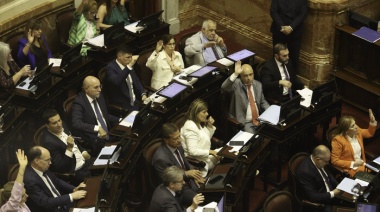 Los senadores se darán un aumentito de dietas y cobrarán casi $10 millones