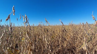 Arrancó el verano y se mantiene la incertidumbre sobre el clima en el campo